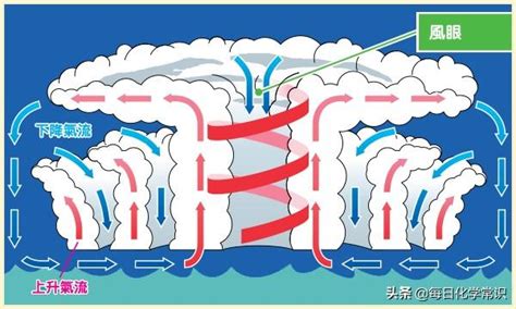 颱風 旋轉方向|你知道颱風怎麼形成的嗎！？